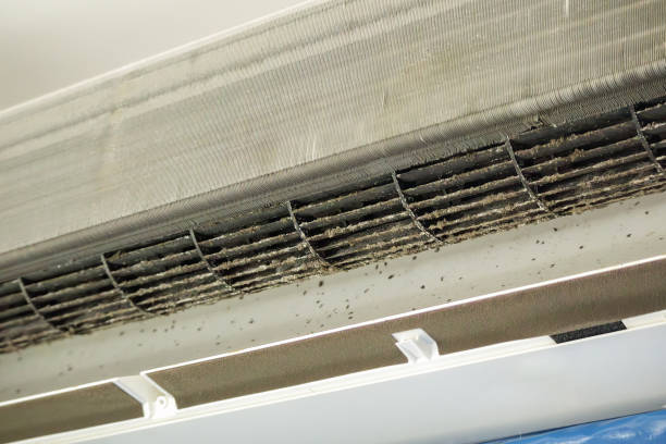 Best Commercial HVAC Duct Cleaning  in Melrose Park, NY